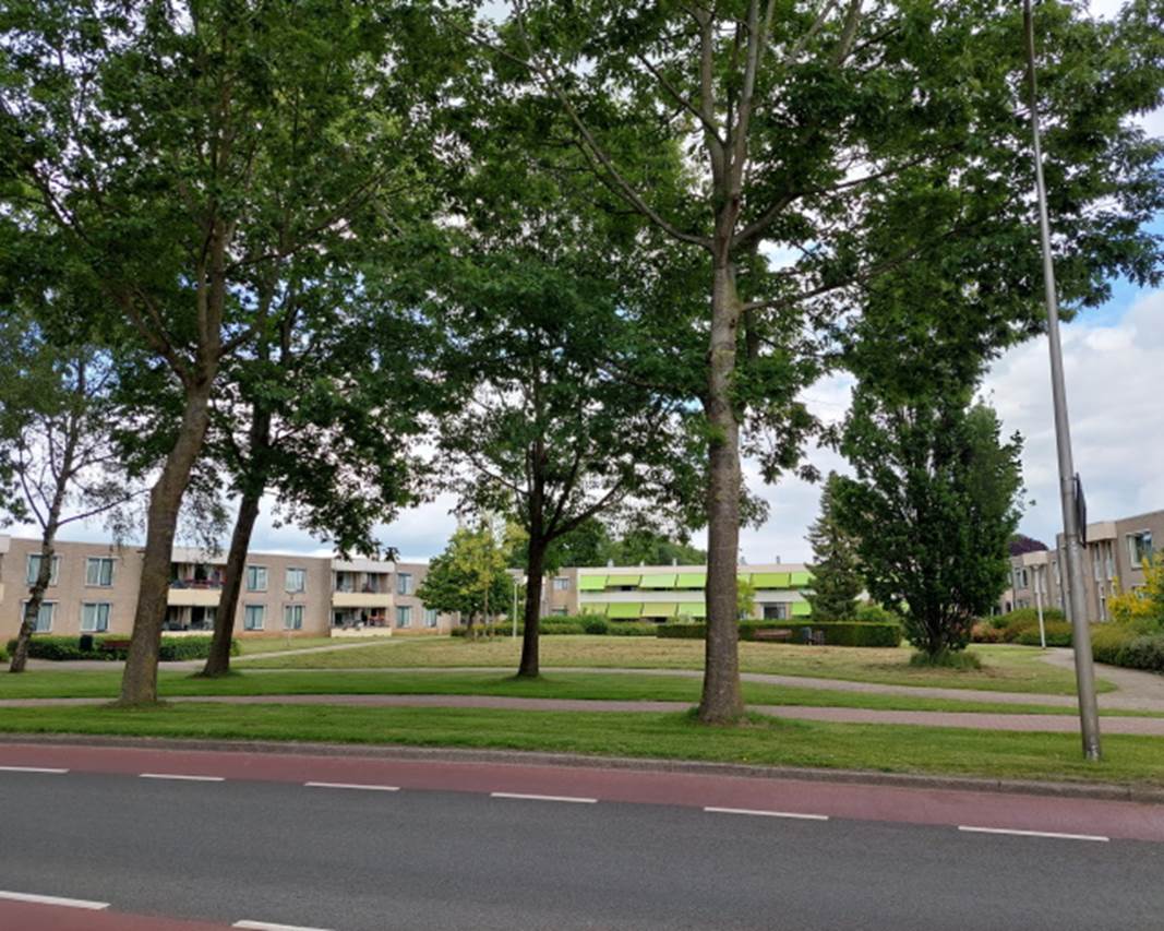 Afbeelding met boom, buiten, weg, atletiekwedstrijd

Automatisch gegenereerde beschrijving